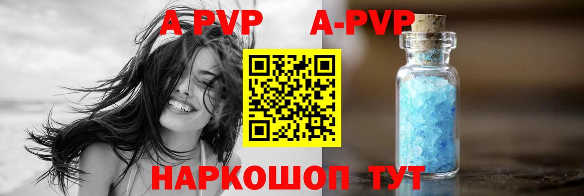А ПВП СК Новошахтинск