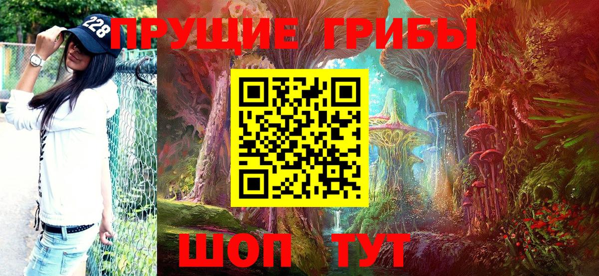 где продают наркотики  Галлюциногенные грибы прущие грибы  Вход с VPN  Новошахтинск  Псилоцибиновые грибы GOLDEN TEACHER 